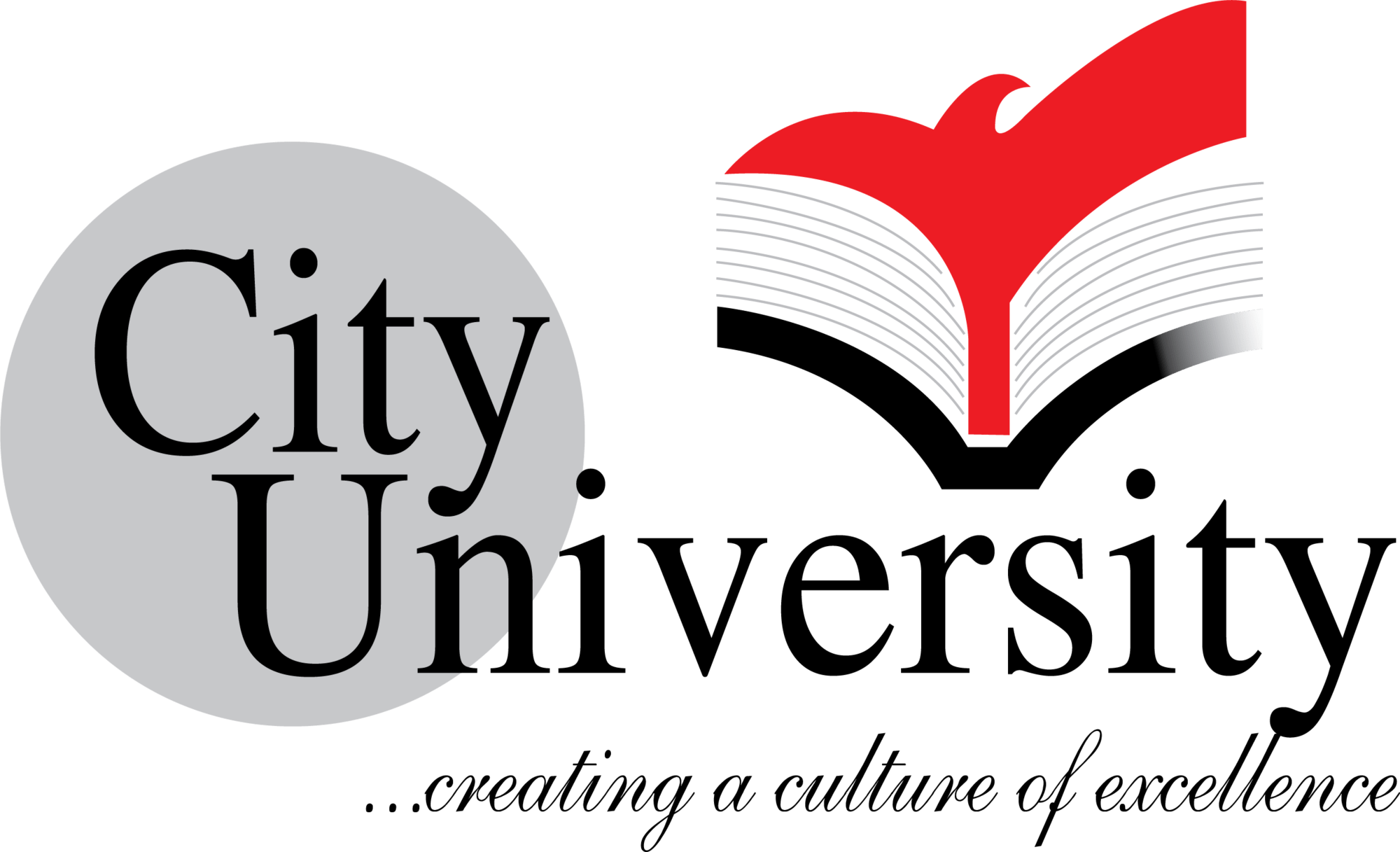 City University logo